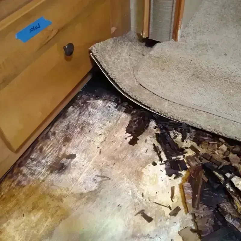 Wood Floor Water Damage in Black Earth, WI